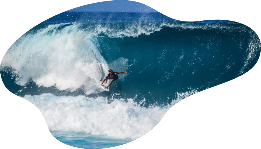 Image seulement présente sur mobile