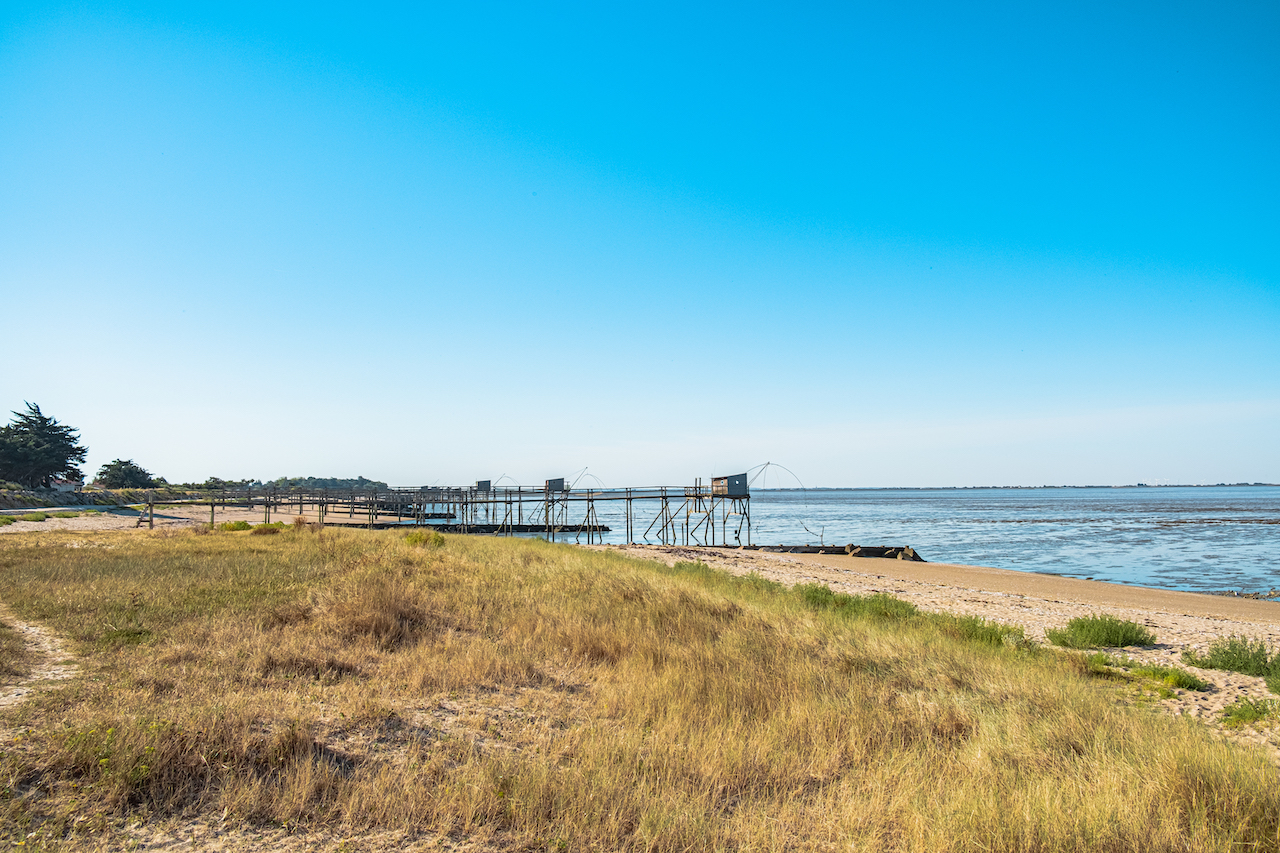 Image illustrative de l'article "LES MOUTIERS EN REZ"