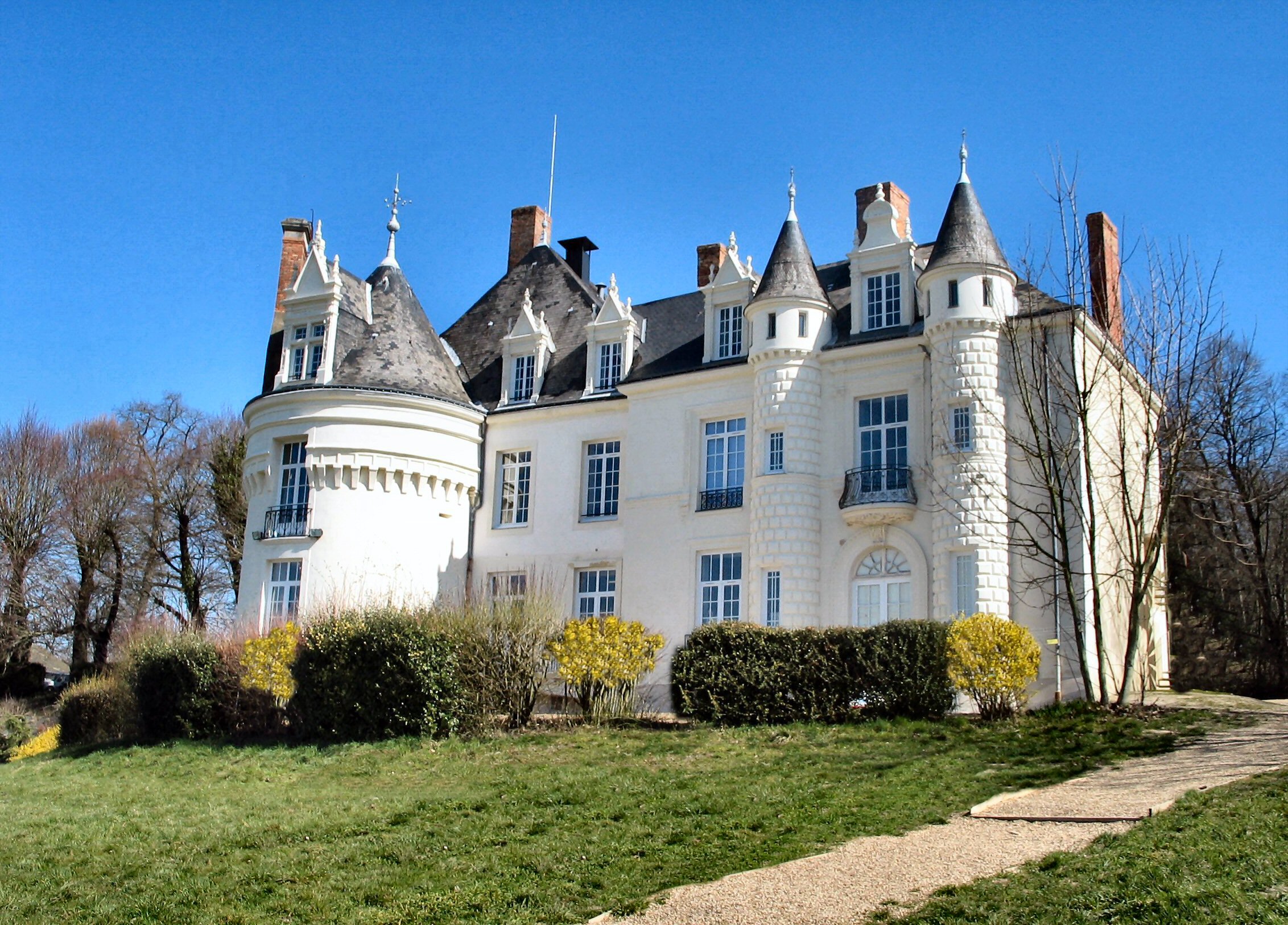 Image illustrative de l'article "ZE CHARLES"