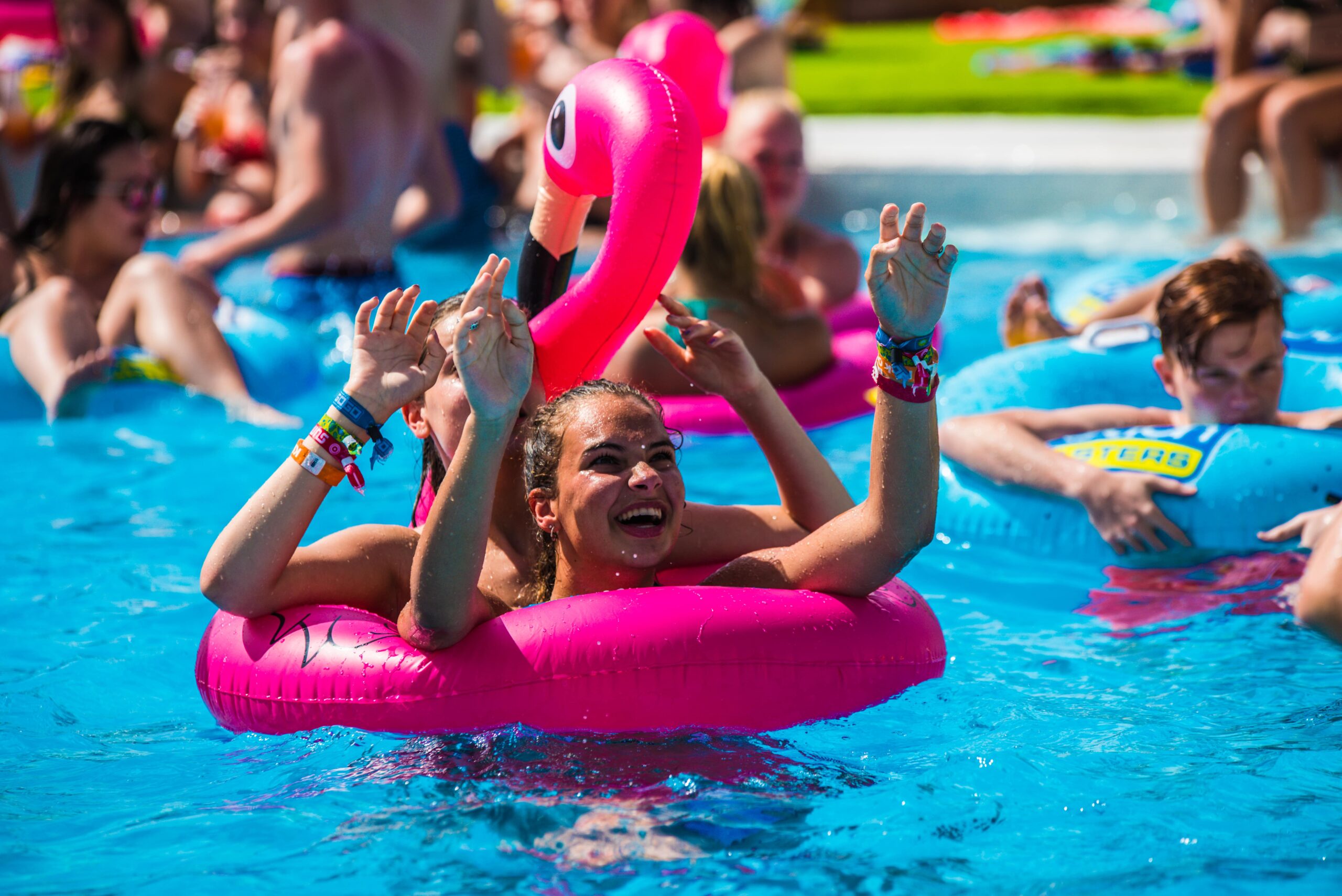 image de la gallerie de Springbreak