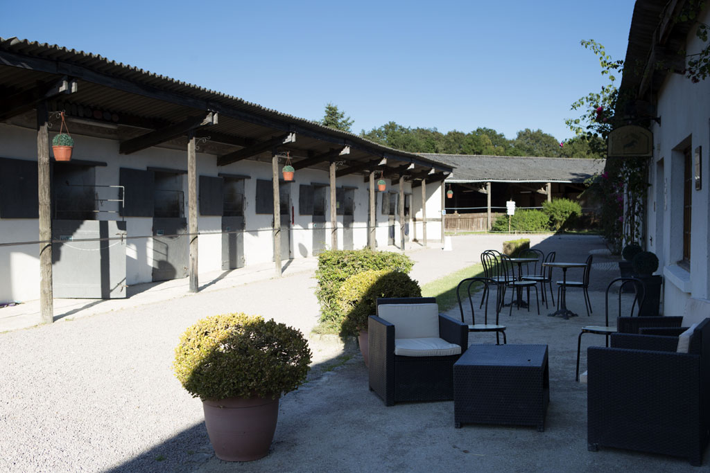 Image illustrative de l'article "ZE RANCH"