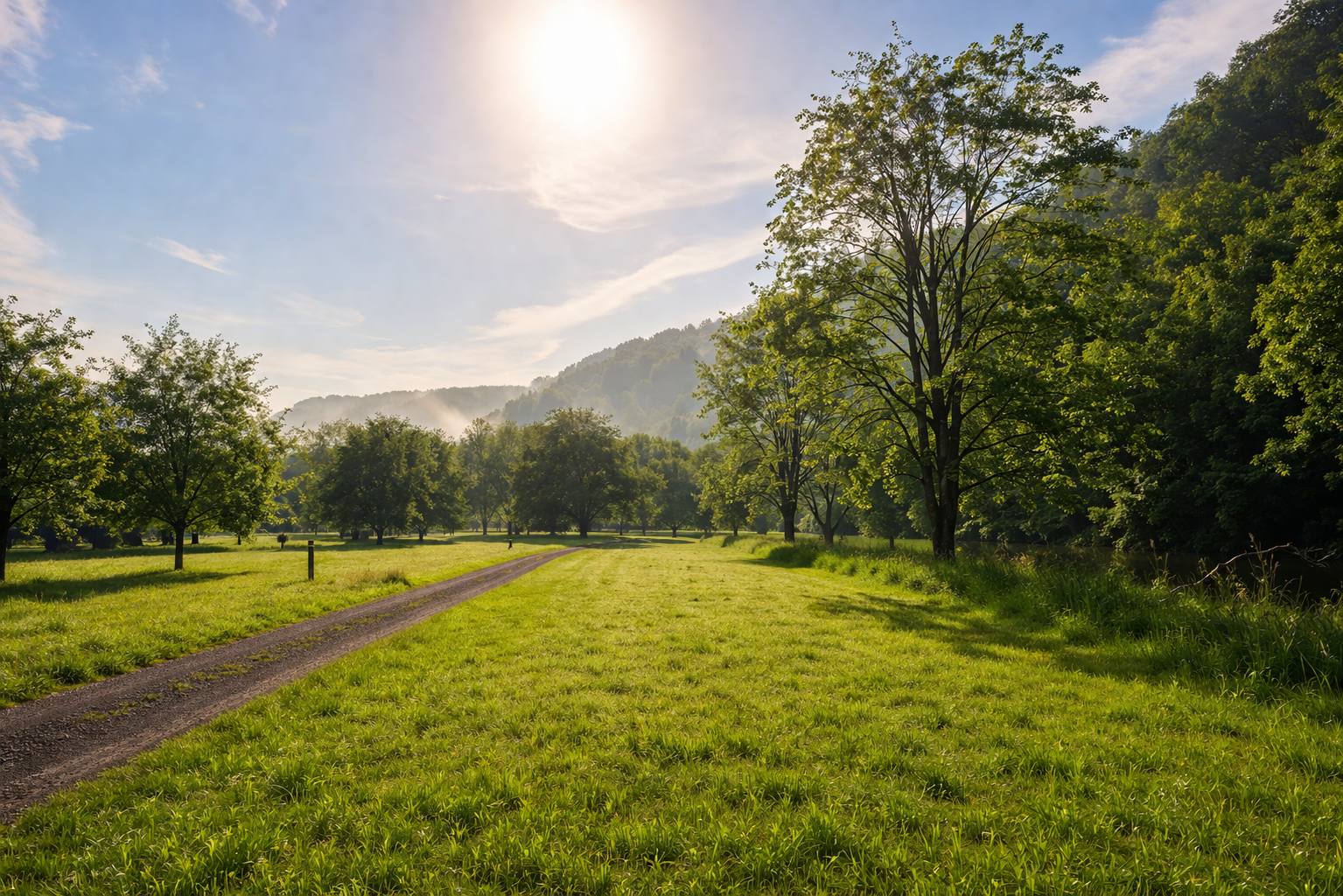 Image illustrative de l'article "ZE HAULMÉ"