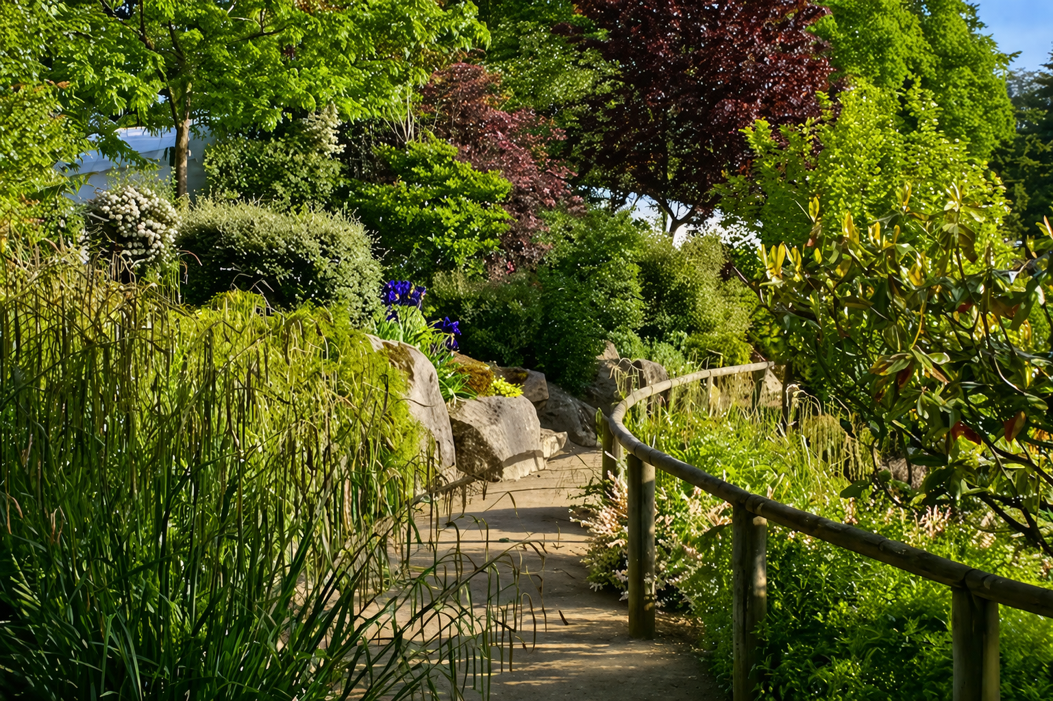 Image illustrative de l'article "ZE STELLA"